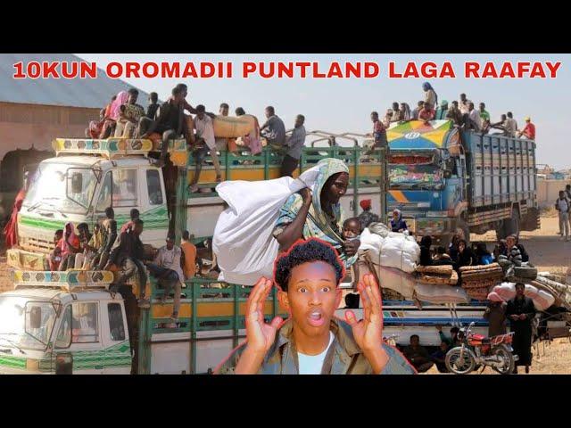 GUUL 10KUN ITOOBIYAANKII PUNTLAND LARAAFAYO,HAWEENKA PUNTLAND DAGAAL UGU HANJABAY,SICIID DENI DIIDEY