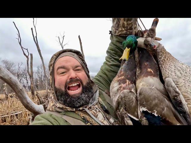 DUCK HUNTING the GRAND PASSAGE! Limits and a Surprise BAND!