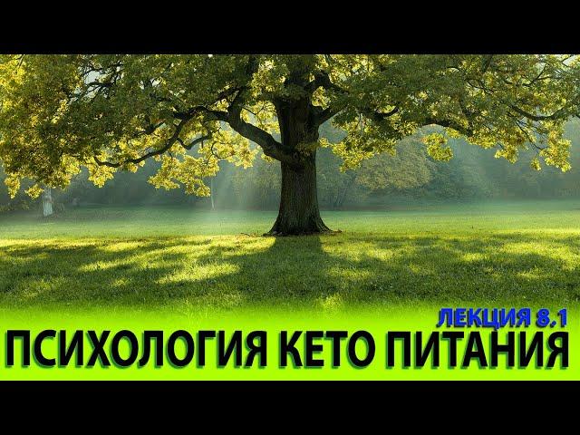 Психология кето питания. Важно тем, кто срывается и не может