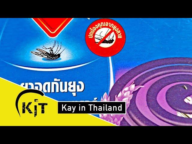 Krankheiten durch Moskitos in Thailand, was kann man tun, um sich zu schützen