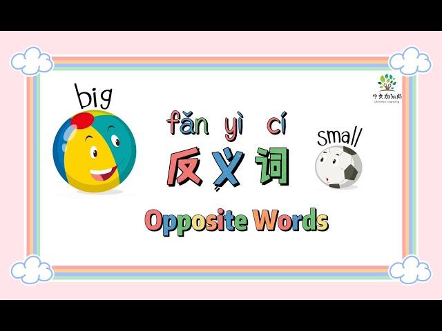 反義詞 | 反义词 | Opposite words in Chinese | 中文加油站