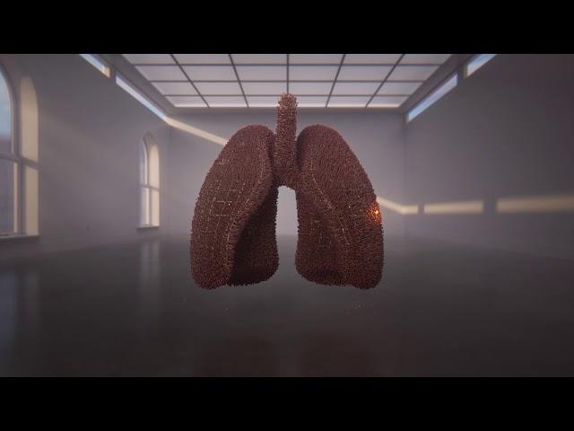 Saved By The Scan :30 Matches PSA | American Lung Association