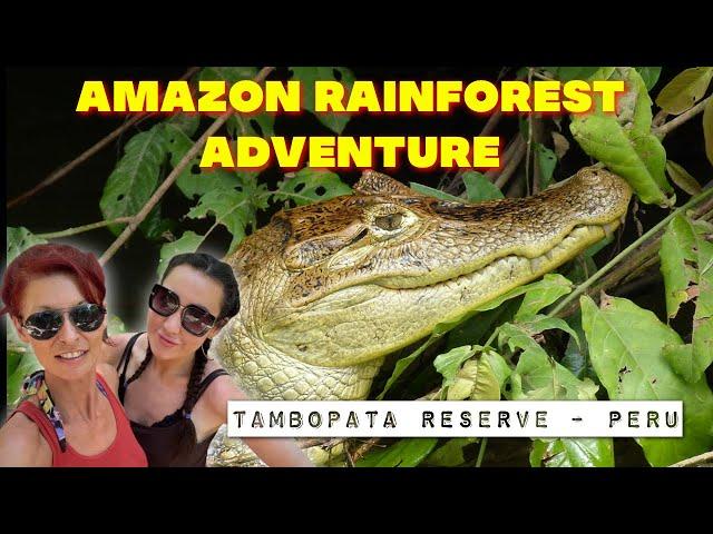 AMAZON RAINFOREST | Tambopata National Reserve | Amazon Rainforest Peru