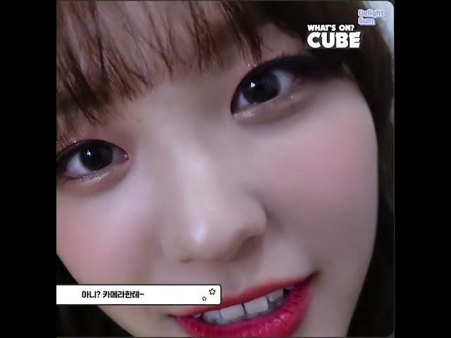 [LIGHTSUM(라잇썸) 유정] 사춘기가 온 보라트니 유정이