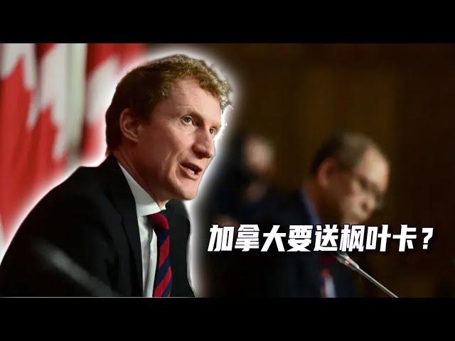 加拿大移民部长10号说：老乡别走，枫叶卡马上就有！那买卖工签的事还查吗？