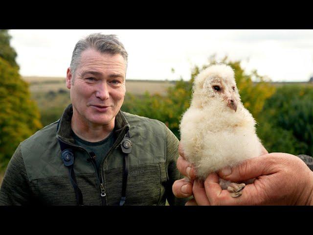 Help Me to Help Wildlife | My Wildlife Conservation | Robert E Fuller
