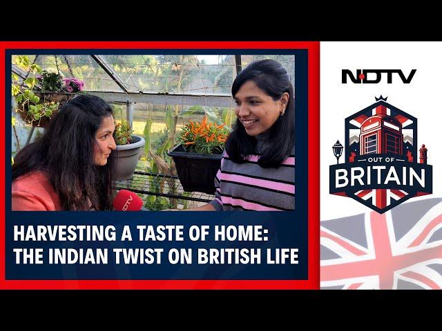 Out Of Britain | Blending Roots And Reality: Indians Adapt To UK Produce