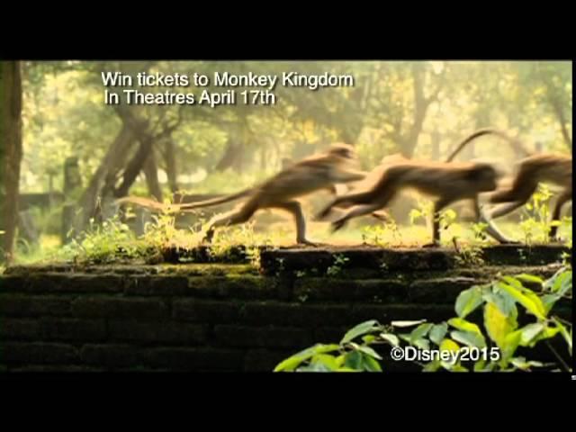 Monkey Kingdom Giveaway