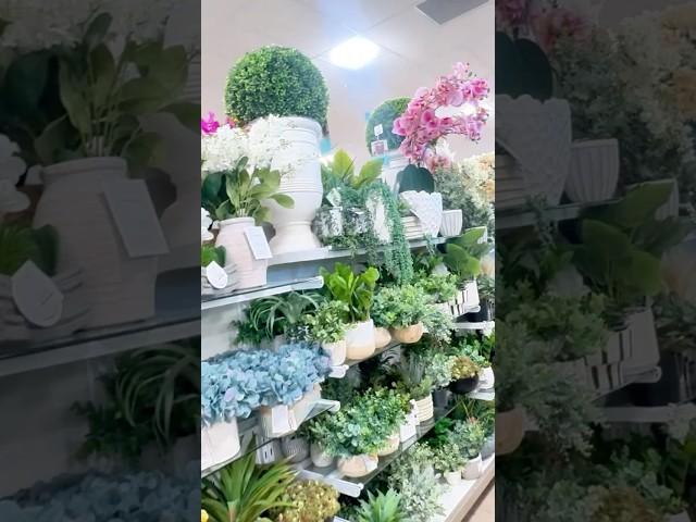 Garden Shopping at Home Goods! #gardening #homedecor #shopping