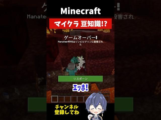 【マイクラ】マイクラ豆知識！みんなは知ってた？