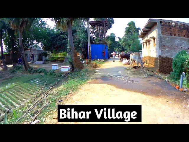 Bihar Village Bicycle Tour || बिहार के गाँव की cycle से यात्रा || Bihar Village Life