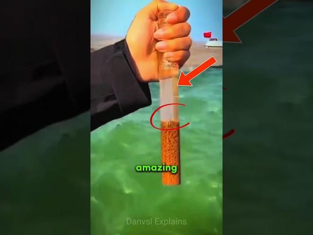Gulf of Alaska never mix but why #science #sciencefacts #shorts