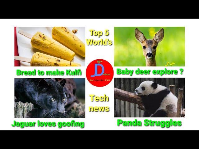 WTN-12 Top 5 World's Tech news in English.