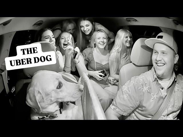 THE BEST UBER EVER!?