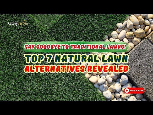 SAY GOODBYE to Traditional Lawns!  7 NATURAL Lawn Alternatives Revealed! // Gardening Ideas