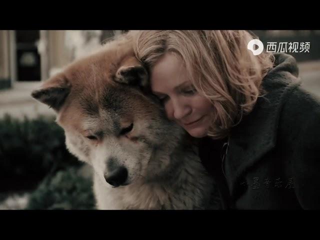 Hachi: A Dog's Tale 2009 - To Train Together - Jan A.P. Kaczmarek