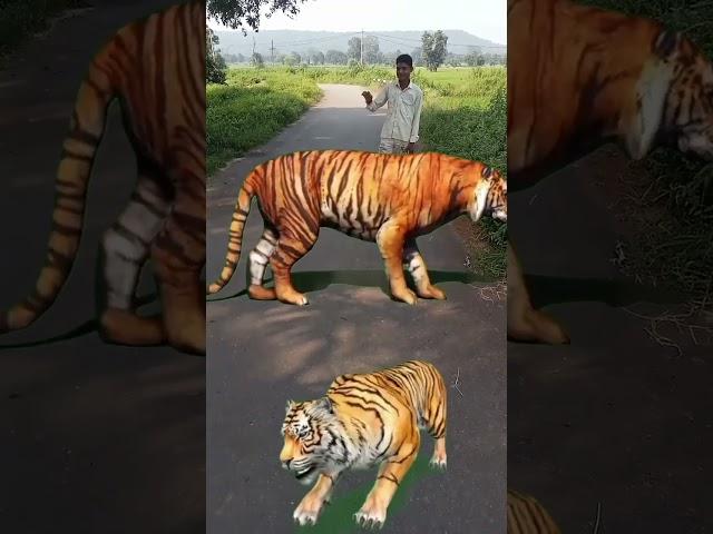 शेर #video #sher #animals #lion #अजगर #wildlife #शर #funny #आदम #zoo