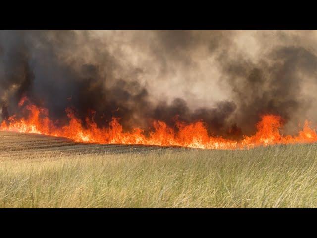 Wheat Fire on Foothill Road in Moscow, Idaho | Moscow Report