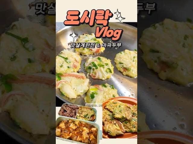 마파두부랑 맛살계란전 #도시락 #shorts
