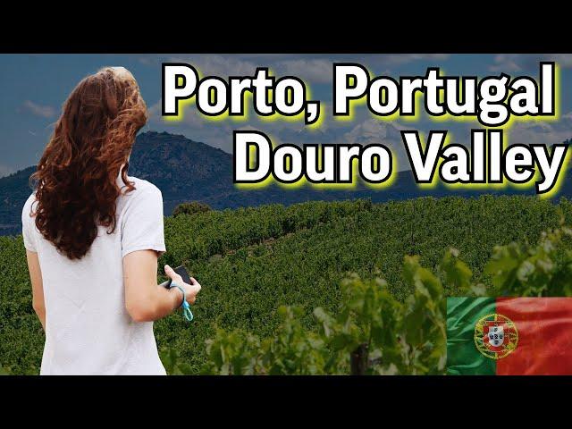 Douro Valley Wineries & Food It'll Be Fun! We moved to Portugal from the USA & Travel.