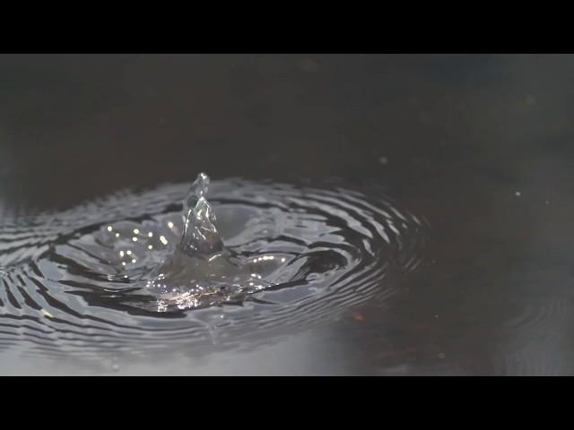 Esox Special Pike Leader