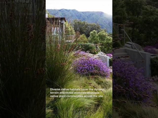 Pfeiffer Ridge by Ground Studio perches on a 5-acre ridge overlooking Big Sur. #landscapedesign