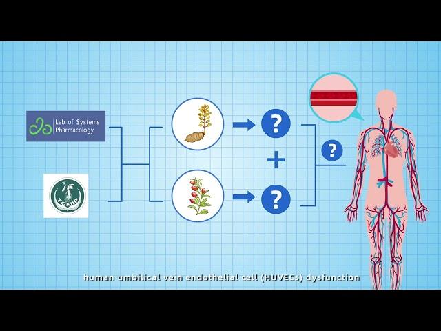 Gastrodin and Gallic Acid Attenuate Apoptosis and Inflammation – Video abstract [477554]