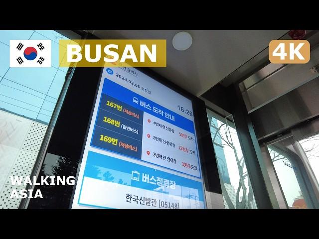  South Korea, Busan: Baegyang-daeroand Busanjin-gu Winter Day Walking Tour - 4K