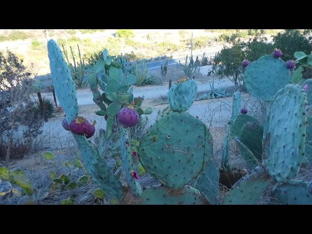 A film by Kay | Speak City Heights "Youth Voices" @ Crawford High | Documentary