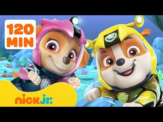 Patrulha Canina | Resgates da Patrulha Canina em Qualquer Lugar Menos na Baía da Aventura | Nick Jr.