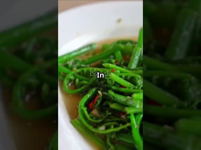 super fern vegetables for human beings.