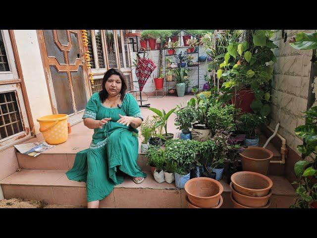 Monsoon Garden Shopping Haul - Plants, Pots, Gardening Tools || Fun Gardening