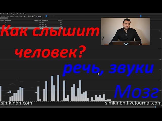 Как слышит человек, воспринимает речь, звуки. Мозг. Практика