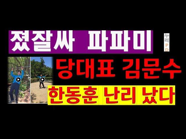 당대표 김문수/한동훈 급당황