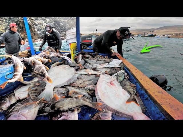 Este HOMBRE muy AFORTUNADO! Pescó MUCHOS PECES entre las Profundidades del MAR