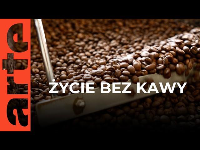 Przyszłość kawy | ARTE.tv Dokumenty