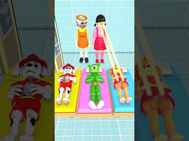 GTA V - Who Will Win Squidgame & Cappuccino Laser #pawpatrol #marshall #funny  #gummybear
