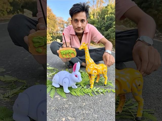Remote Control Rabbit and Rc Giraffeki Video