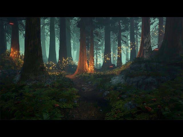 Enchanted Forest - Music & Ambience 