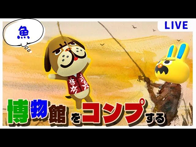 【あつ森生放送】今更すぎる博物館コンプへの道 魚図鑑編　1日目