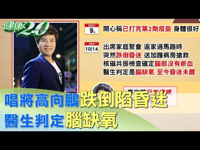 唱將高向鵬返家途中跌倒陷昏迷 醫生判定腦缺氧 健康2.0