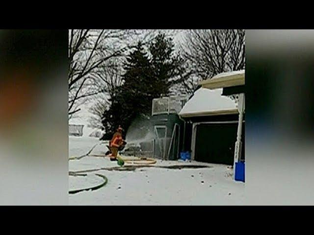 Good Samaritans rescue dogs from house fire