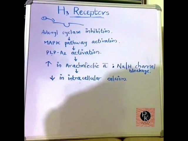 H3 Receptors// histamine receptors// PHARMA KNACK//