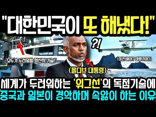 "한국놈들이 다 해먹네!" 세계가 두려워하는 '위그선'의 독점기술에 중국과 일본이 경악하며 속앓이 하는 이유 #손흥민 #김민재 #이강인 #축구협회 #하이라이트