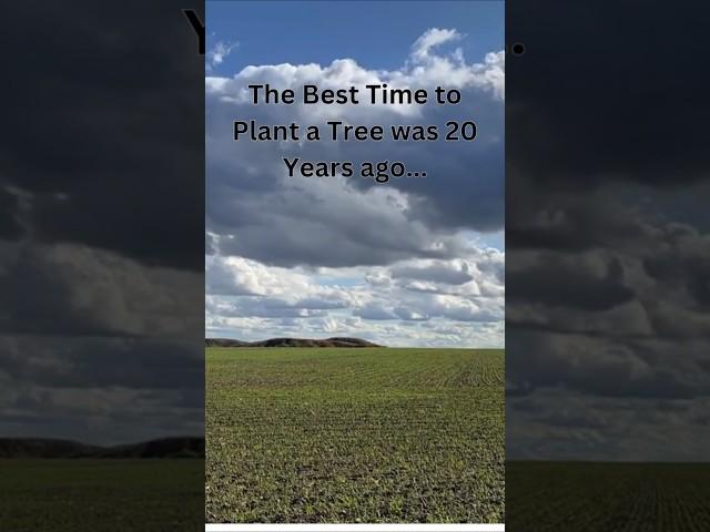 Start Now: The Best Time to Invest  | Finance Made Simple