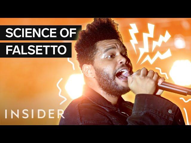 Why You Love The Sound Of Falsetto