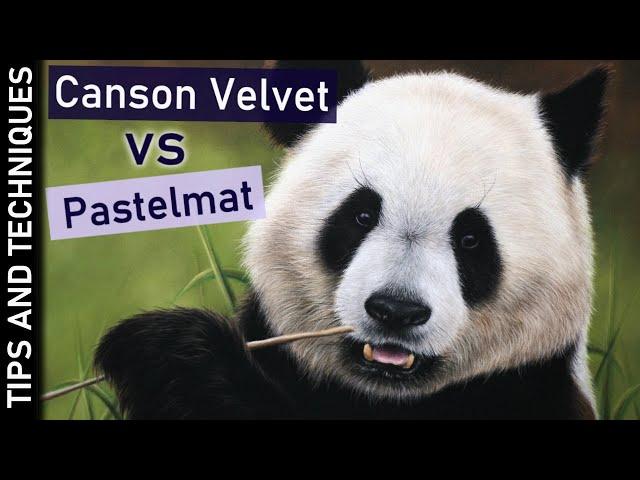 Canson Mi-Teintes Velvet VS Pastelmat paper comparison | Panda pastel drawing