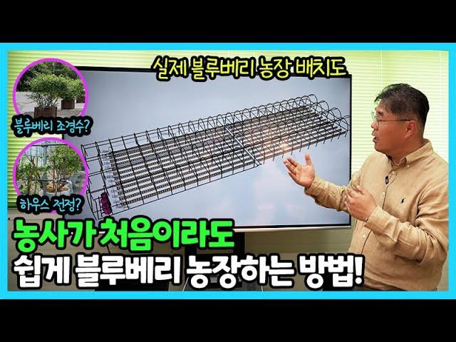 농사가 처음이여도 블루베리 농장을 쉽게 만들 수 있는 방법! 효율적인 블루베리 농장 조성부터 재배 관리까지 맞춤으로 안내해 드립니다!