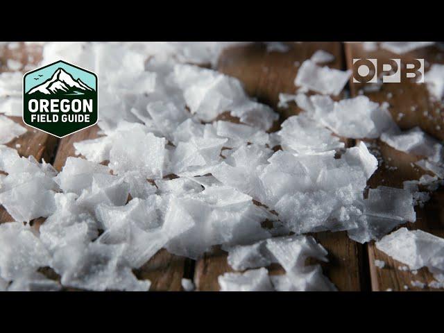 Centuries of salt making on the Pacific coast | Oregon Field Guide