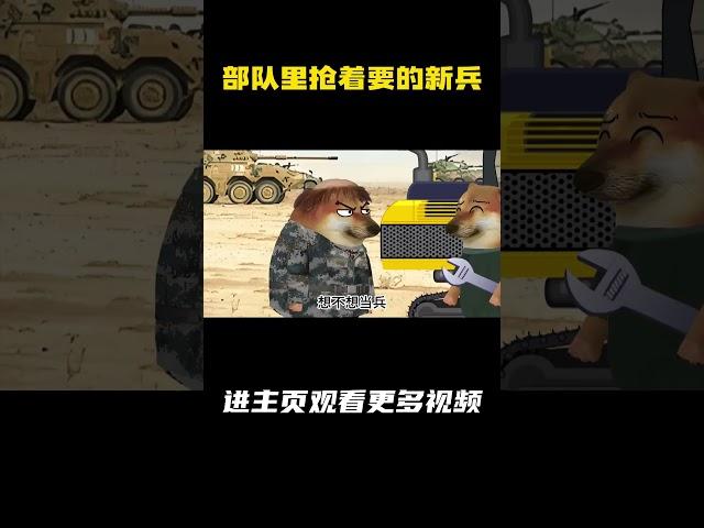部队里抢着要的新兵 #cheems #新兵